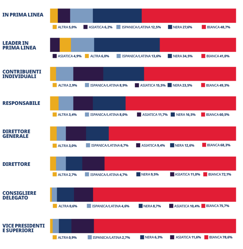 Grafico dell’etnia dei dipendenti per livello